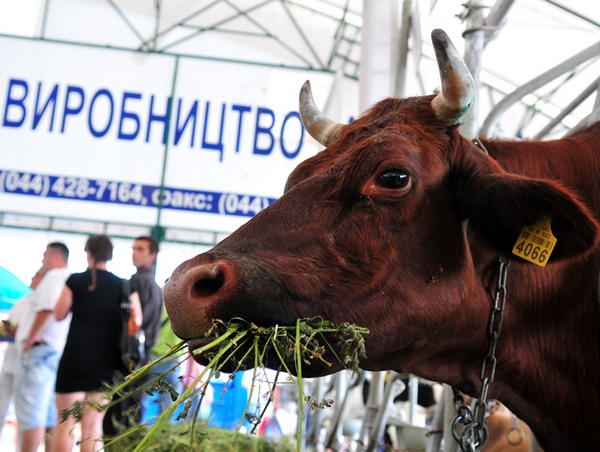 Фото: Владимир Бородин / Великая Эпоха