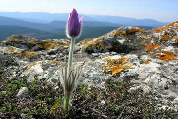 Горы Украины: Чатыр-Даг. Фото: The Epoch Times