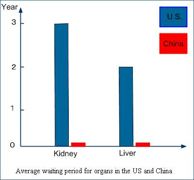 На диаграмме вертикальная ось показывает изменение времени в годах, на горизонтальной обозначены органы (слева почки, справа печень); синий цвет показывает срок ожидания в США, красный – в Китае.