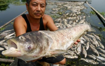 Около 120 тонн рыбы погибло в реке Чжегао в результате загрязнения воды. Провинция Аньхой. 25 июля 2009 год. Фото с epochtimes.com