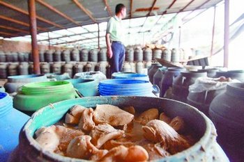 Бочки с грибами, которые «дезинфицируются» в технической соли. Провинция Хэнань. Фото с epochtimes.com