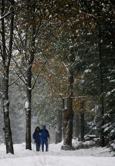 Первый снег в Баварии. Фото: Getty Images