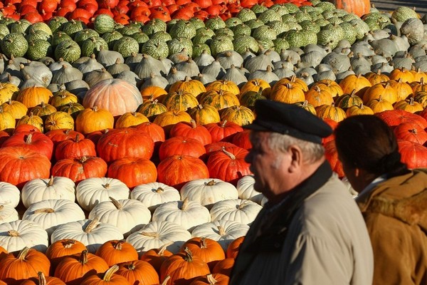 Фестиваль тыквы в Брэндоне, окраине Берлина. Фото: Sean Gallup/Getty Images