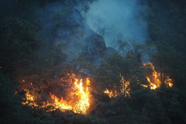 В окрестностях города Чунцин за один день произошло 28 пожаров. Фото с epochtimes.com