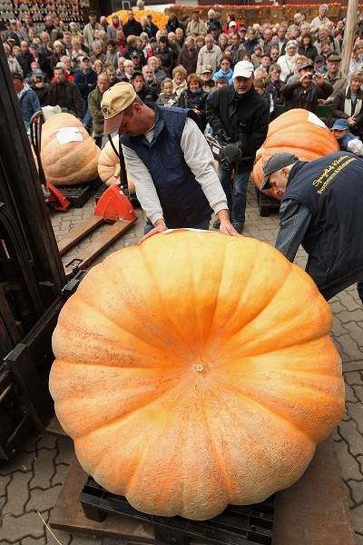 Фестиваль тыквы в Брэндоне, окраине Берлина. Фото: Sean Gallup/Getty Images