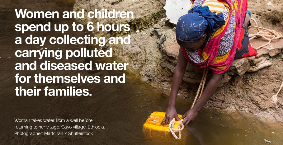 Скріншот з сайту: waterseer.org