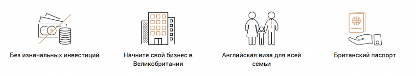 Преимущества визы представителя