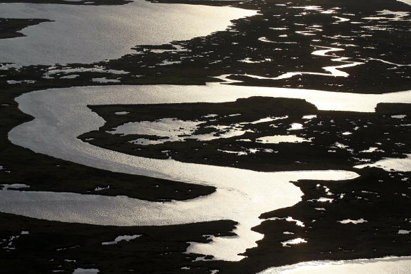 Утечка нефти в Мексиканском заливе из поврежденной буровой скважины продолжается. Нефть уже дошла до берегов штата Луизианы. Специалисты ищут новые способы предотвратить экологическую катастрофу. Фото: Joe Raedle/Getty Images