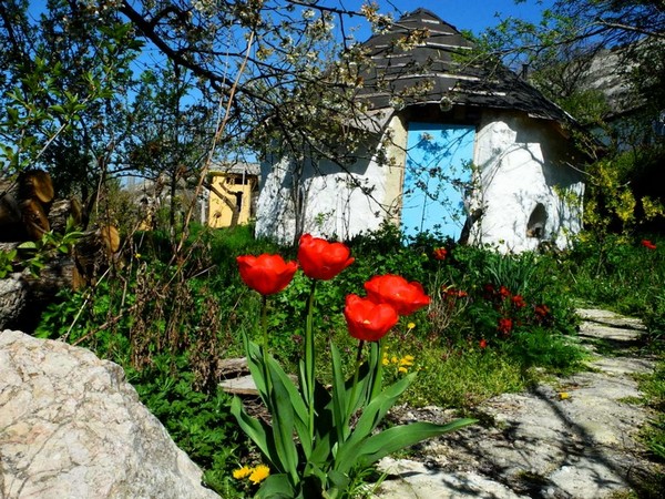 Питомник «Первоцвет», Крым. Фото: Алла Лавриненко/Великая Эпоха