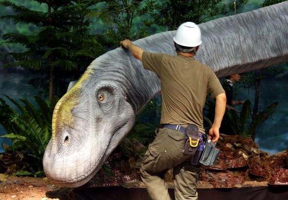 Рабочий монтирует экспонат на Выставки динозавров 2009. Япония, Чибу, 13 июля 2009г. Фото: Junko Kimura/Getty Images