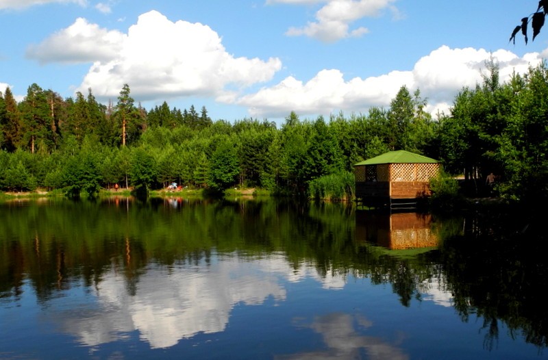 Лесное озеро в Киржаче. Фото: Алла Лавриненко