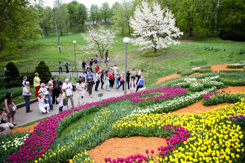 Выставка тюльпанов открылась в Киеве на певческом поле. Фото: Великая Эпоха