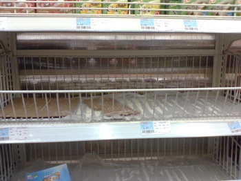 В супермаркете «Цзядэли» пустые полки, на которых продавалась соль. Шанхай. Фото с epochtimes.com