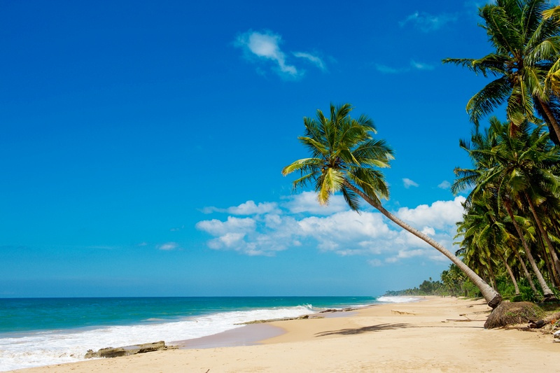 Пляж на Шрі-Ланці — теплий океан, золотий пісок і пальми. Фото: Star Tour77/Flickr