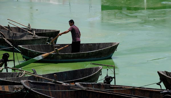 Озеро Чаоху в Хэфэй, центральной провинции Китая Аньхой, покрылось цветущими зелеными водорослями. Фото: AFP/Getty Images