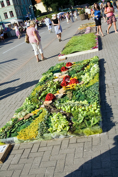 Фестиваль цветущего искуcства в Вентспилсе. Фото Андрея Аболтиньша