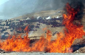 Тибетские монахи кремируют жертв землетрясения в китайской провинции Цинхай. Фото: FREDERIC J. BROWN/AFP/Getty Images