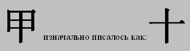 Лопнувшая кожура проросшего семени 