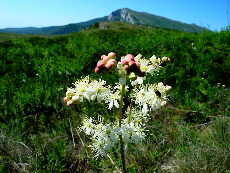 Гора Чатыр-Даг, Крым. Фото: Алла Лавриненко/Великая Эпоха