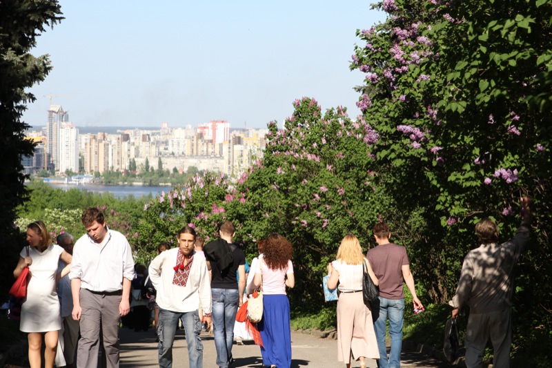 Cирень расцвела в Национальном ботаническом саду в Киеве. Фото: Великая Эпоха