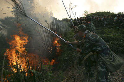 Фото: China Photos/Getty Images