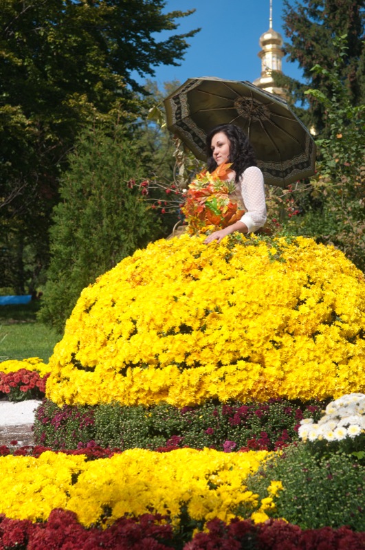 В Киеве открылась выставка императорских хризантем. Фото: Владимир Бородин / Великая Эпоха
