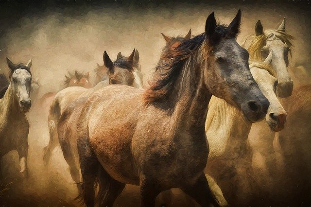 табун коней