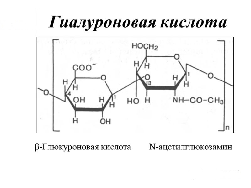 Для чего нужны витамины с гиалуроновой кислотой и коллагеном? | Великая  Эпоха