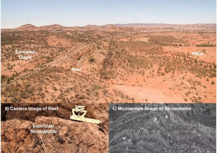 Стародавні «соляні гори» в Південній Австралії колись створювали притулок для перших форм життя (ФОТО)