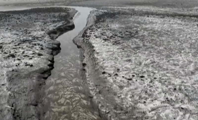 (Youtube/скриншот)