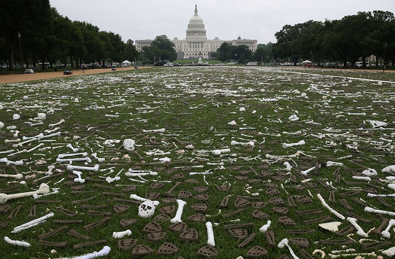 Вашингтон, США, 10 июня. Инсталляция из 1 млн искусственных костей человеческого скелета на Национальной аллее обращает внимание на продолжающийся геноцид в странах Азии и Африки. Фото: Mark Wilson/Getty Images 
