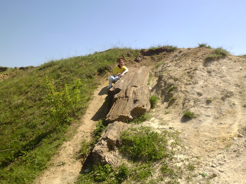 Найбільший стовбур скам'янілого дерева, розташований, в кінці кар'єра з правого його боку. Фото: Мілостнова Росіна/The Epoch Times Україна 