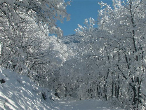 Зимовий Коктебель. Фото: Сергій Скорик 