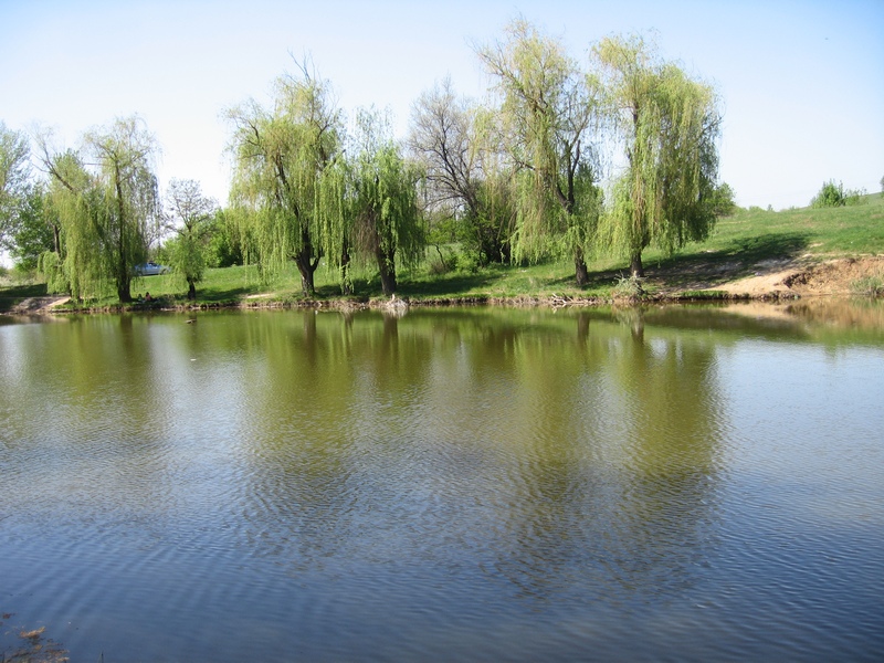 Олексієво-Дружківський ставок, розташований в 15-хвилинах від кар'єру. Фото: Мілостнова Росіна/The Epoch Times Україна 
