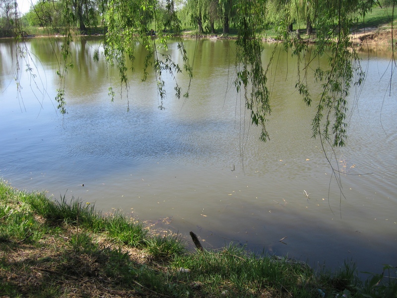 Олексієво-Дружківський ставок, розташований в 15-хвилинах від кар'єру. Фото: Мілостнова Росіна/The Epoch Times Україна 