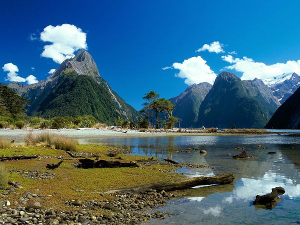 Краєвиди Нової Зеландії (New Zealand). Фото: Кліпарт 