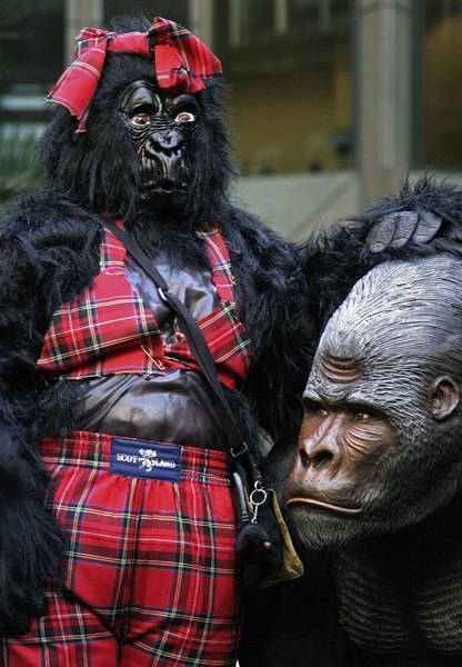 «Великий забіг горил» у Лондоні. Фото: Miles Willis/Getty Images 