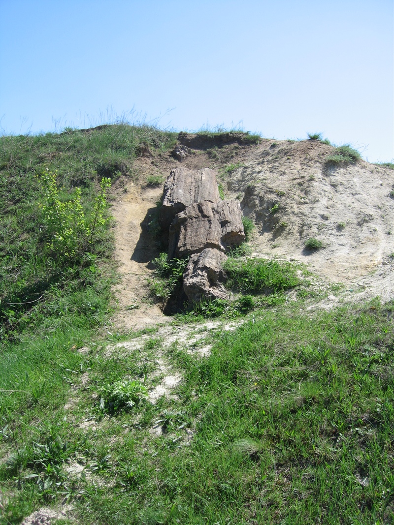 Найбільший стовбур скам'янілого дерева, розташований, в кінці кар'єра з правого його боку. Фото: Мілостнова Росіна/The Epoch Times Україна 