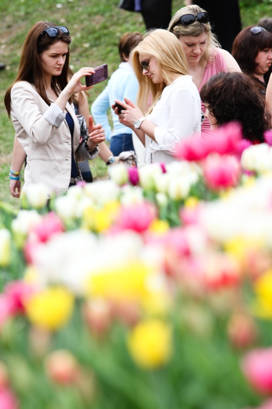 Виставка тюльпанів відкрилася в Києві на співочому полі. Фото: Велика Епоха 