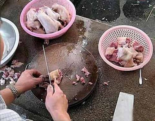 З білих мишей в Китаї роблять «голубині грудки». Фото з secretchina.com  