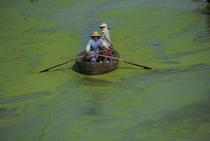 Озеро Чаоху в Китае, 2013 год. Фото: STR/AFP/Getty Images 