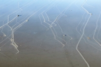 Фото: Richard D. Norris et al., PLoS ONE