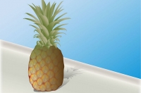 Фото: wikihow.com