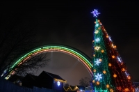 Новорічна ялинка 2014 року під Аркою Дружби народів у Києві. Фото: Федір Треногов