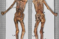 Ілюстрація: Marco Samadelli/sciencedaily.com