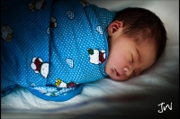 Фото: Jin Han Tan/flickr.com. Лицензия: creativecommons.org/licenses/by-nc-nd/2.0
