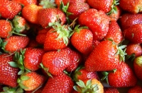 Фото: Fried Dough/flickr.com. Лицензия: creativecommons.org/licenses/by/2.0