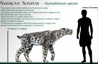 Ілюстрація: Dantheman9758/en.wikipedia.org