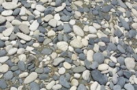 Photos.com