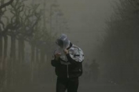 Фото: China Photos/Getty Images